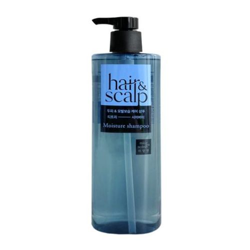 HAIR & SCALP SHAMPOO 750ML (11131-5675)